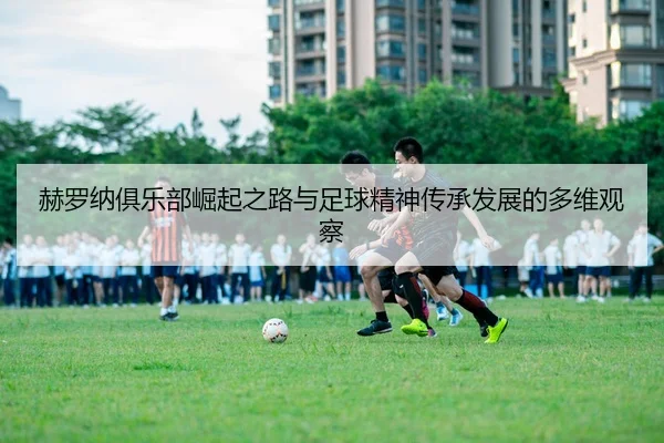 he-luo-na-ju-le-bu-jue-qi-zhi-lu-yu-zu-qiu-jing-shen-chuan-cheng-fa-zhan-de-duo-wei-guan-cha-2-838.jpg